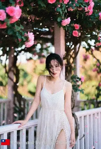 Youthful Pure Love First Love # 9 First Love Rose